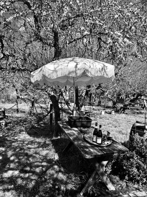 farm table with parasol